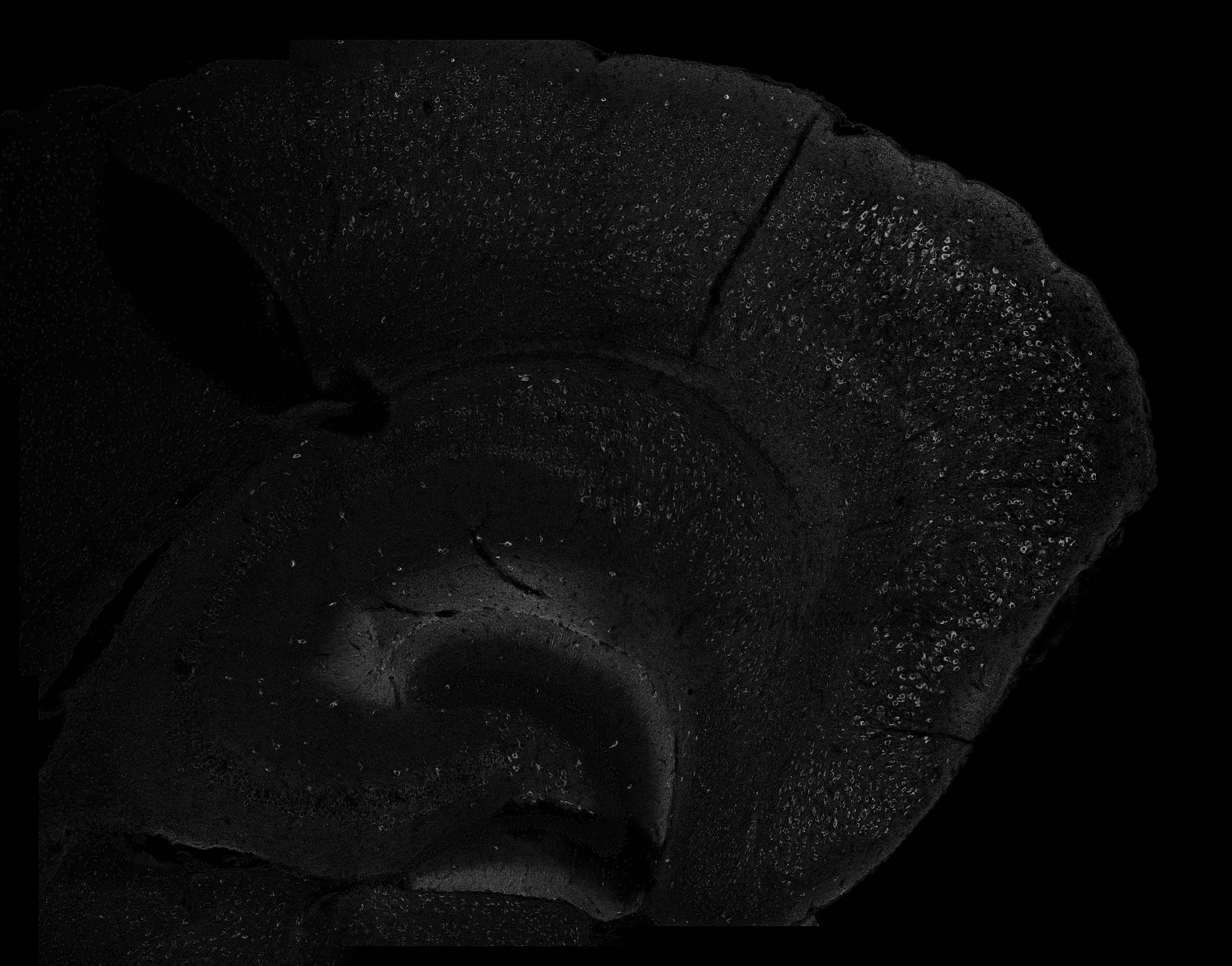 A show poster for Thurston the Great Magician